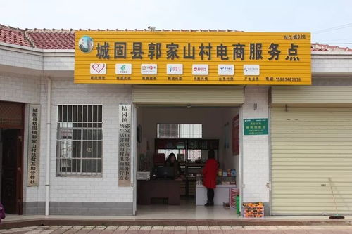 電子商務(wù)技術(shù)助力城固扶貧 2120戶貧困戶搭上電商新列車(chē)