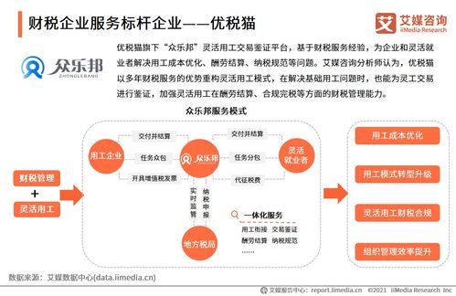 2021上半年中國財(cái)稅類企業(yè)服務(wù)專題研究報(bào)告 企業(yè)管理咨詢發(fā)展洞察